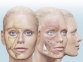 3-4 мая 2023 года \&quot;Деформационная 3D анатомия+диагностика клиентов\&quot;. Преподаватель - Екатерина Воронова.